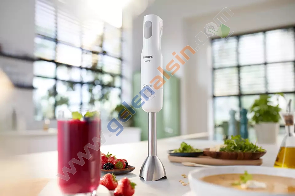 Philips Daily Collection HR2534/00 ProMix 650 W Blender